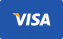 visa logo